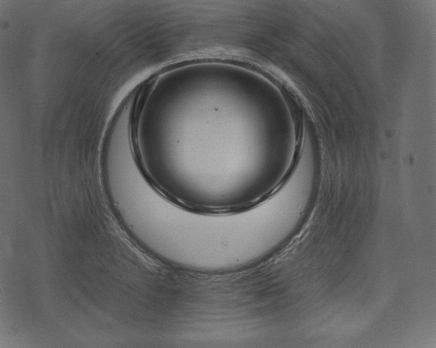 X0000073861230200608170934