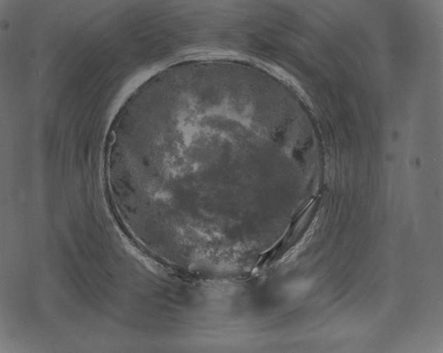 X0000073861231200608170934