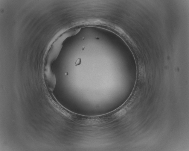 X0000073861232200608170934