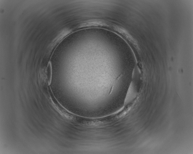 X0000073861233200608170934