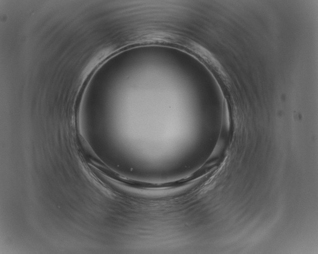 X0000073861234200608170934