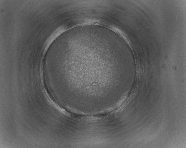 X0000073861235200608170934