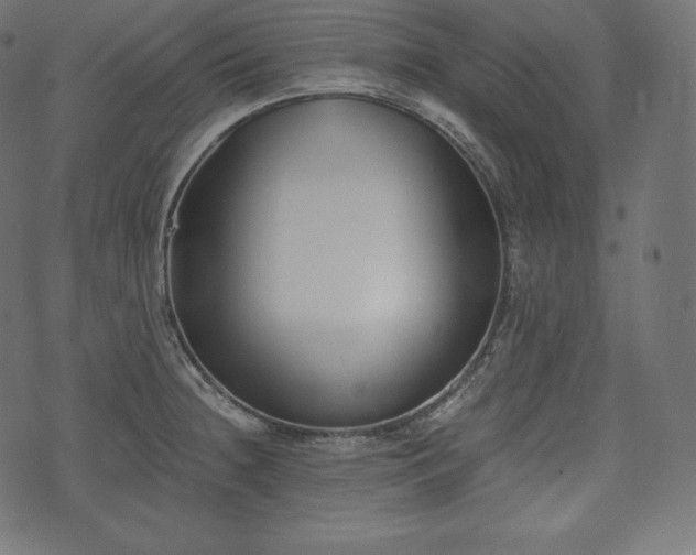 X0000073861236200608170934