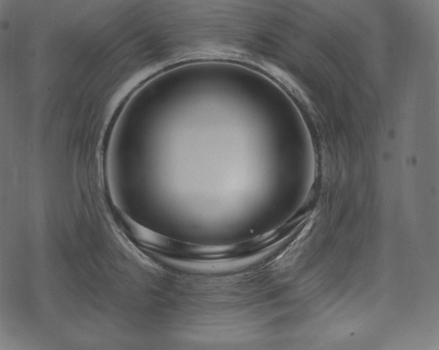 X0000073861238200608170934