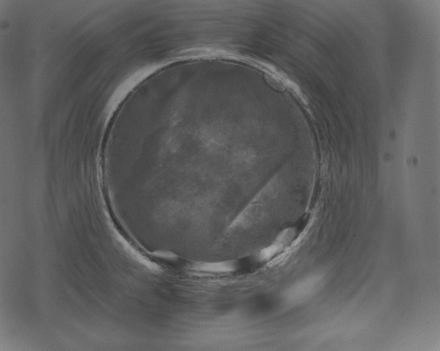 X0000073861239200608170934