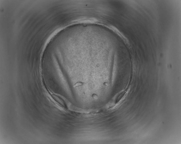 X0000073861240200608170934