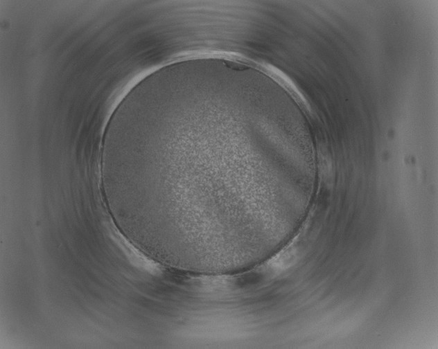 X0000073861244200608170934