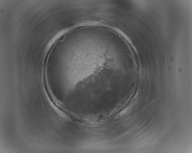 X0000073861245200608170934