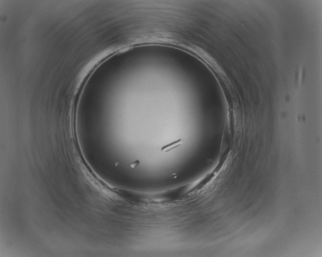 X0000073861246200608170934