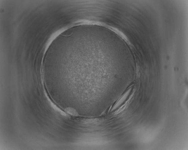 X0000073861247200608170934