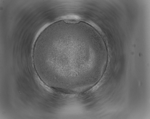 X0000073861248200608170934