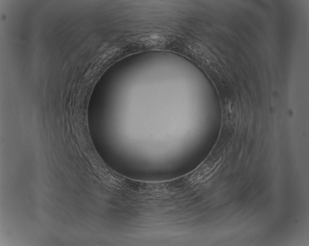 X0000073861249200608170934