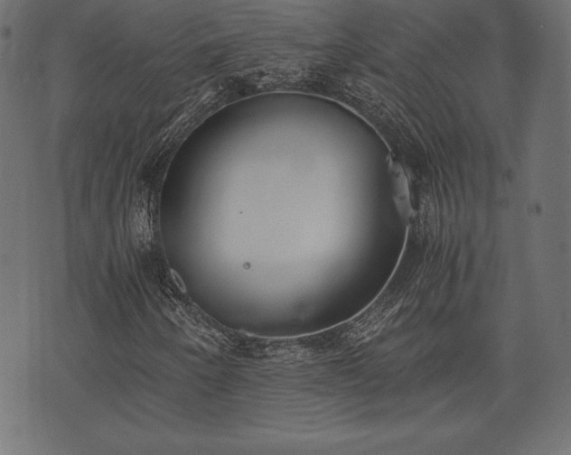 X0000073861250200608170934