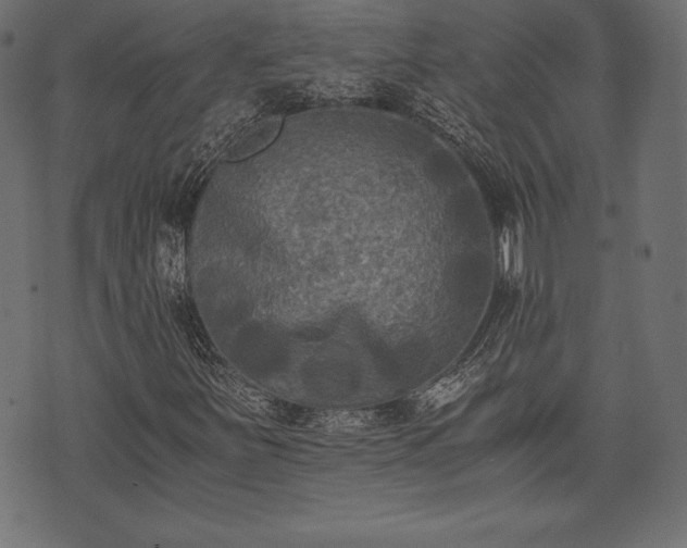 X0000073861251200608170934