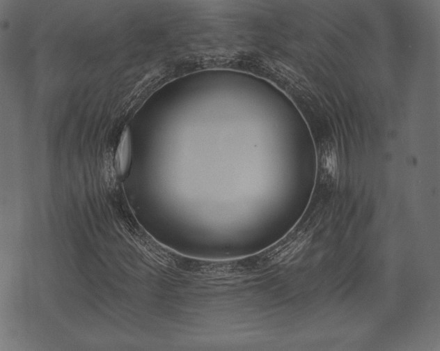 X0000073861252200608170934