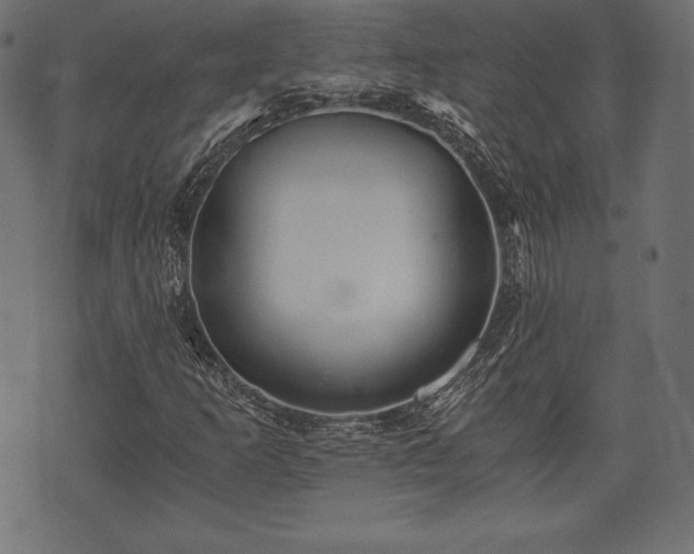 X0000073861253200608170934