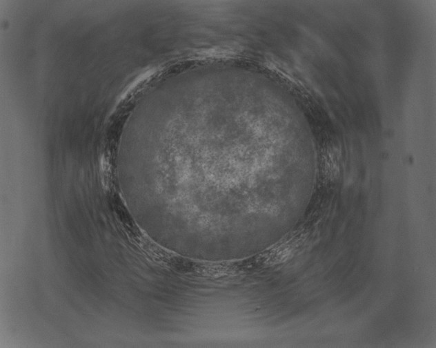 X0000073861254200608170934