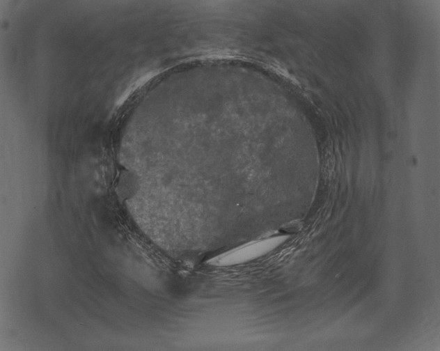 X0000073861255200608170933