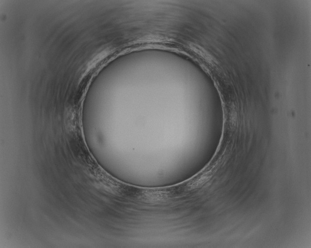 X0000073861258200608170933