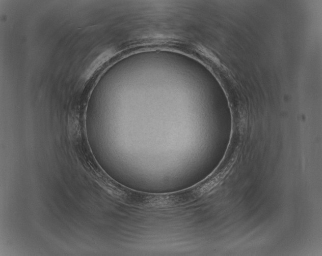 X0000073861259200608170933