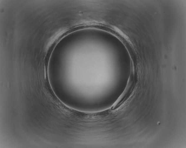 X0000073861269200608170933