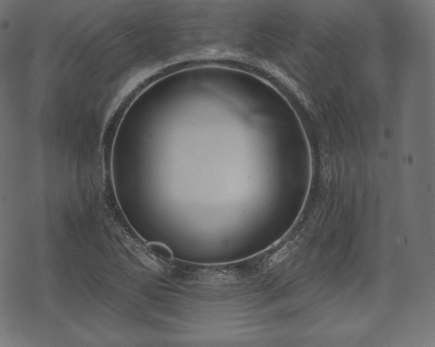 X0000073861270200608170933