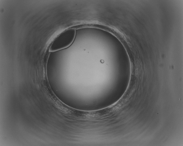 X0000073861271200608170933