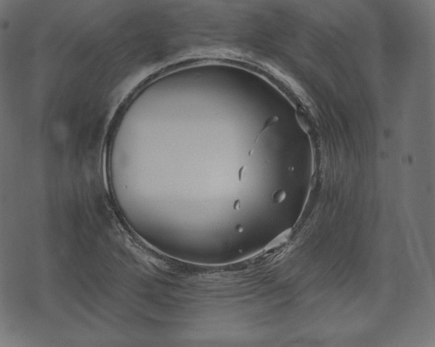 X0000073861272200608170933