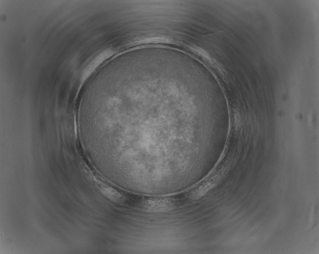 X0000073861274200608170933