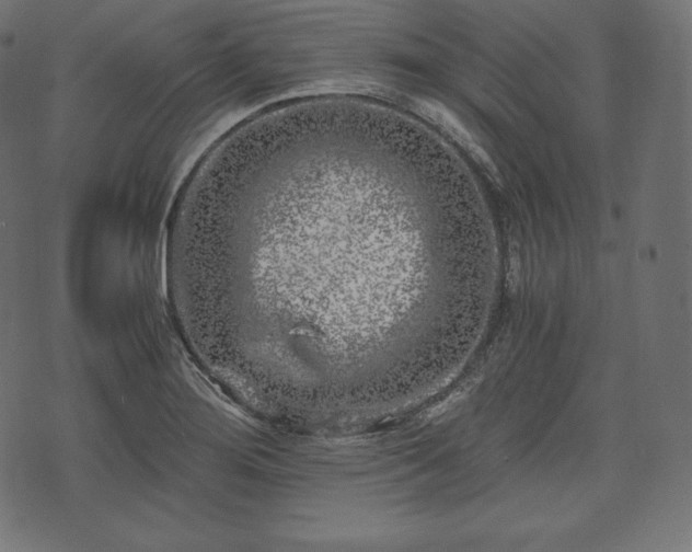 X0000073861276200608170933