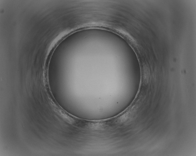 X0000073861278200608170933