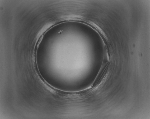 X0000073861285200608170933