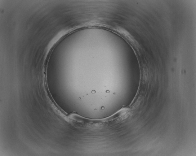 X0000073861286200608170933