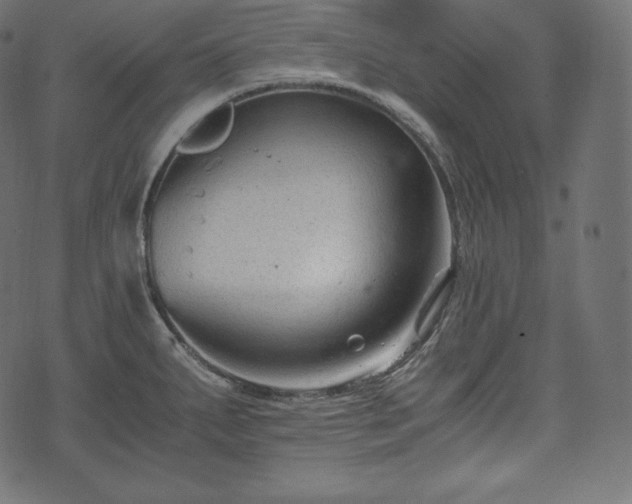 X0000073861287200608170933