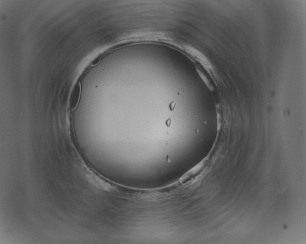 X0000073861288200608170933