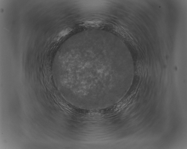 X0000073861297200608170932