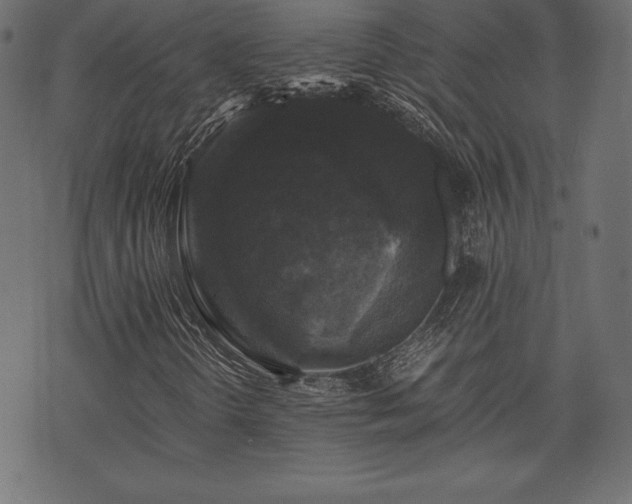 X0000073861298200608170932