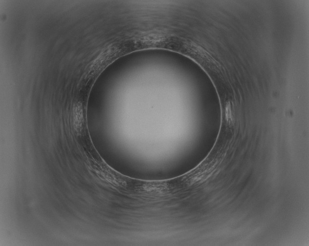 X0000073861299200608170932