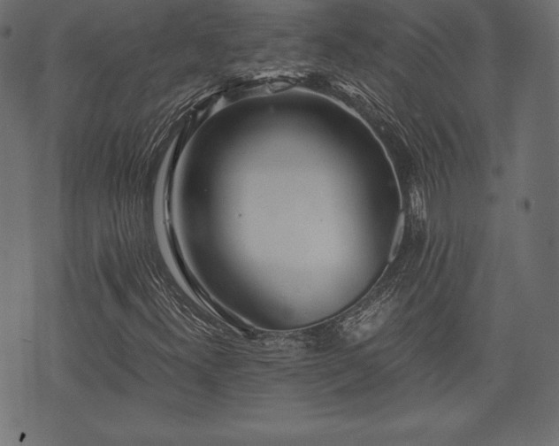 X0000073861300200608170932