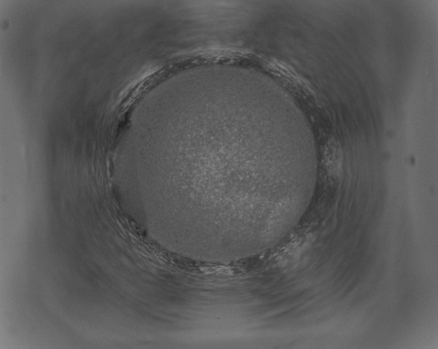 X0000073861302200608170932