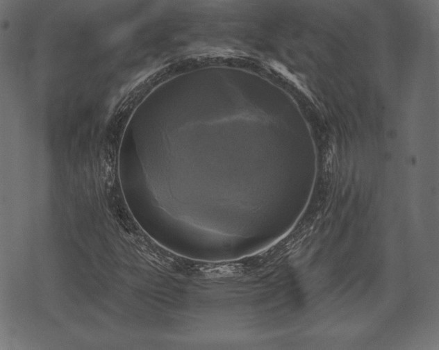 X0000073861303200608170932