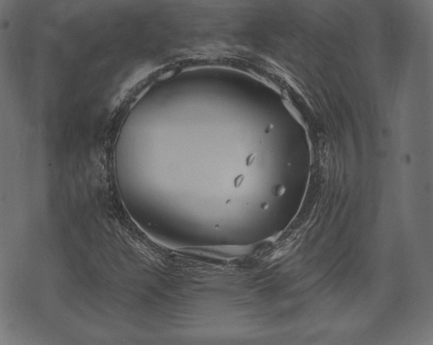 X0000073861304200608170932