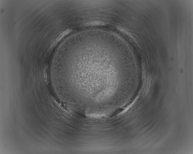 X0000073861305200608170932