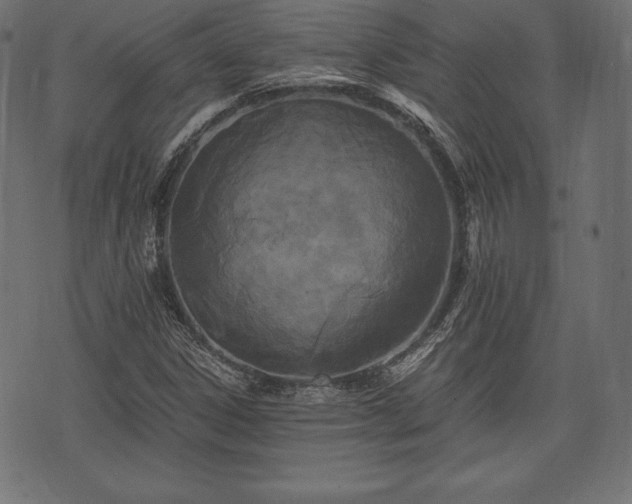 X0000073861306200608170932