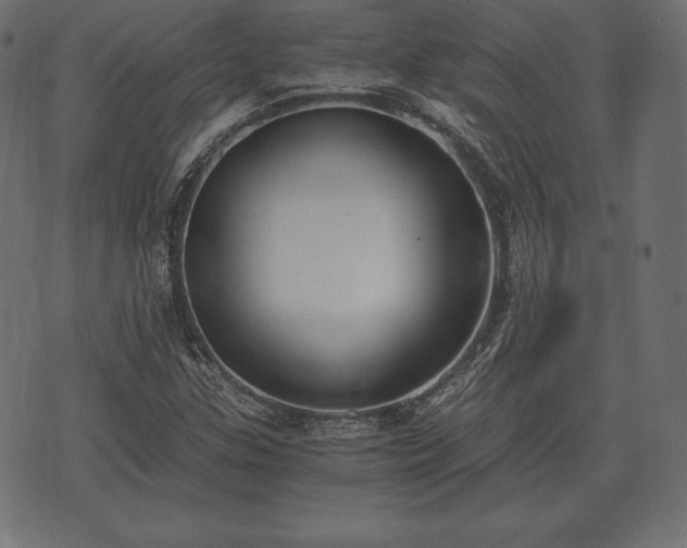 X0000073861307200608170932