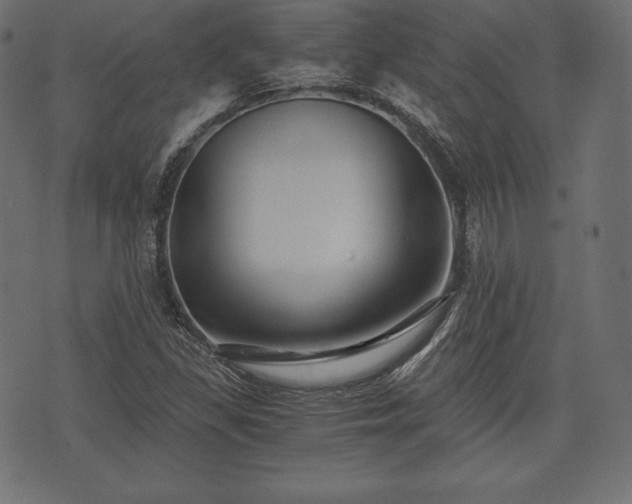 X0000073861309200608170932