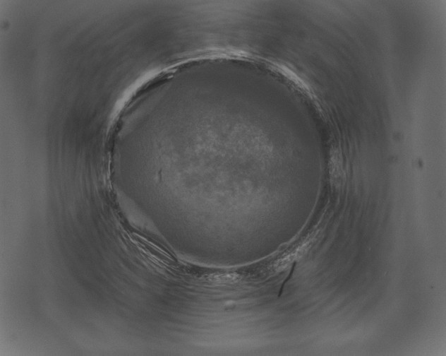 X0000073861310200608170932