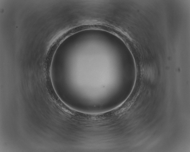 X0000073861311200608170932