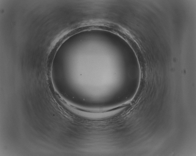 X0000073861312200608170932