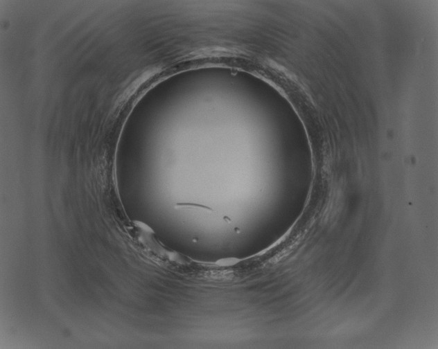 X0000073861313200608170932